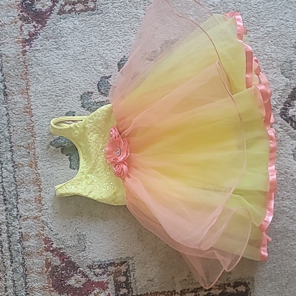 Halloween fairy  princess costume /Dance costume